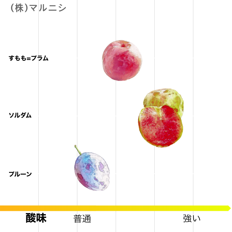 すもも種類早見表】知っておきたいすももの知識 | 青空市場