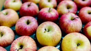 2026年最新版】りんごの種類徹底ガイド｜品種別の特徴・硬さ・甘さを